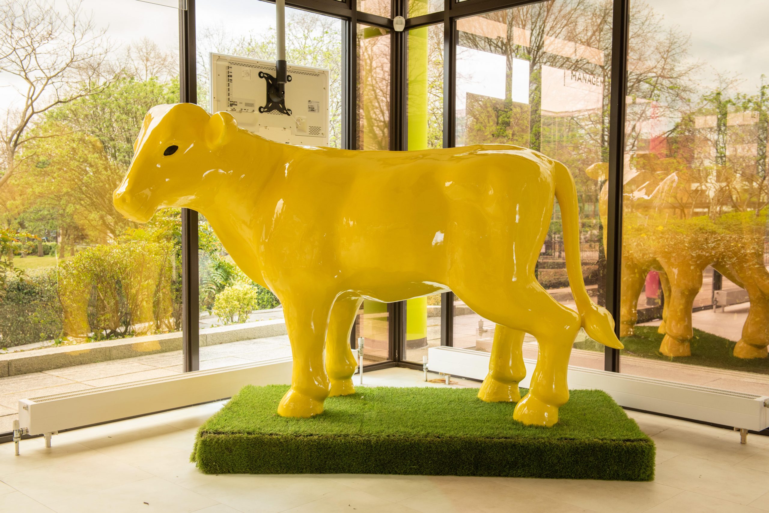 Mustard’s Branching Out in Milton Keynes!