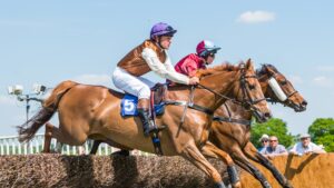 Summer days out at the races